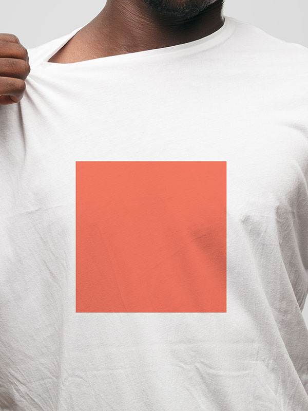 shop-img-47-gallery-2 x