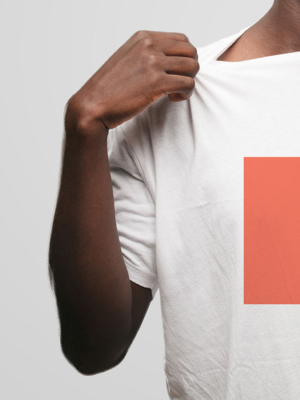 shop-img-47-gallery-3 c