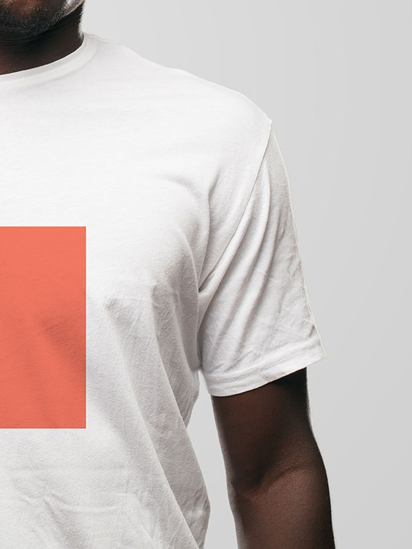 shop-img-47-gallery-4 v