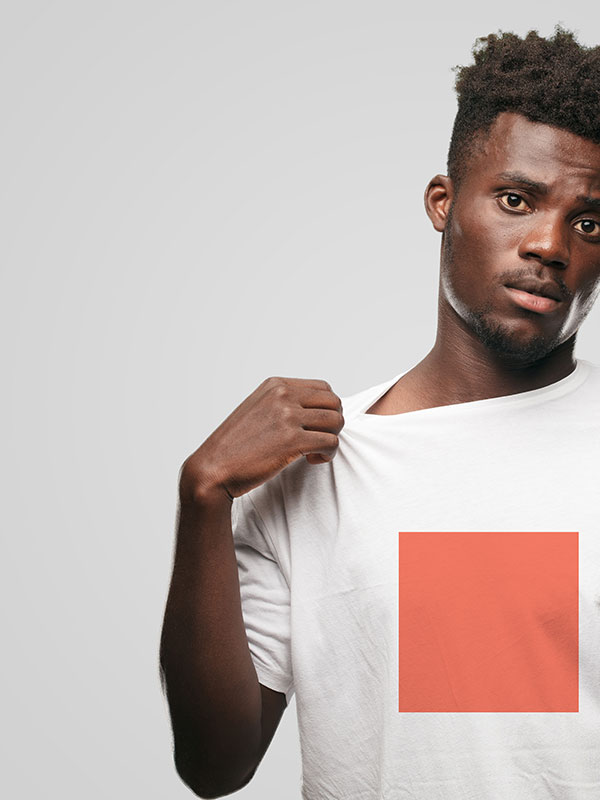 shop-img-47-gallery-5 b